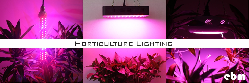 Horticulture Lighting